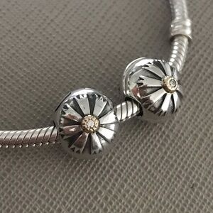 Pandora retired two tone clip charms